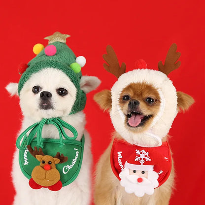 Christmas hat and scarf bag for dogs