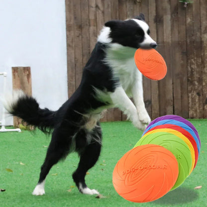 Dog frisbee long gliding