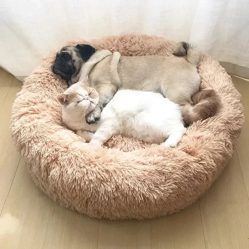 Bean bag bed for dogs