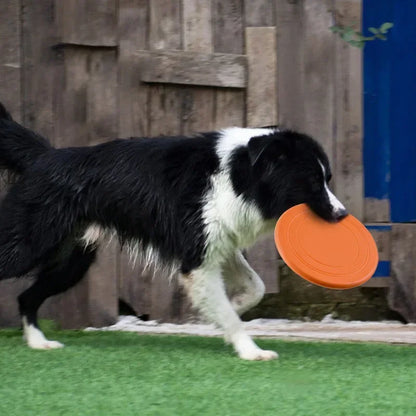 Dog frisbee long gliding