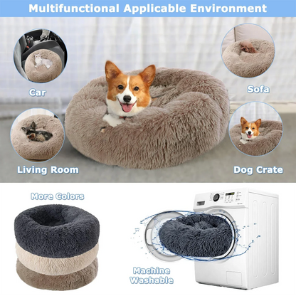 Bean bag bed for dogs