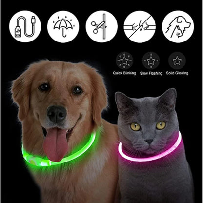 LED dog collar