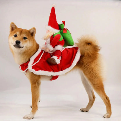 Santa riding dog costume