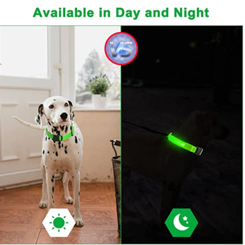 LED dog collar