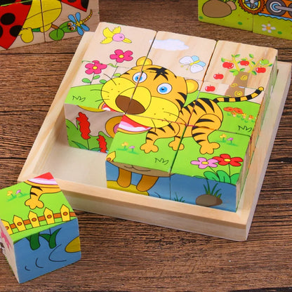 Wooden Blocks Toy Six Side Cube