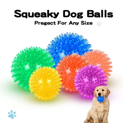 Squeaky spiky chew ball for dogs