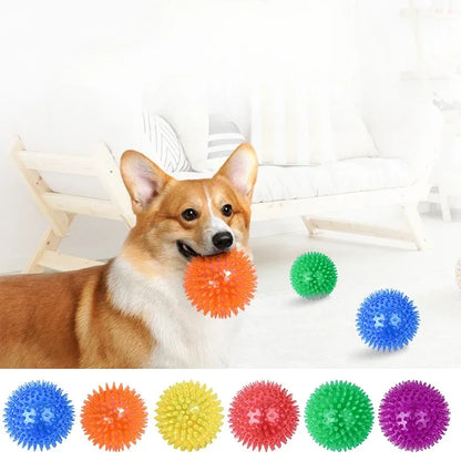 Squeaky spiky chew ball for dogs