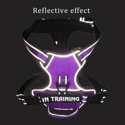 Reflective nylon Dog Harness Vest