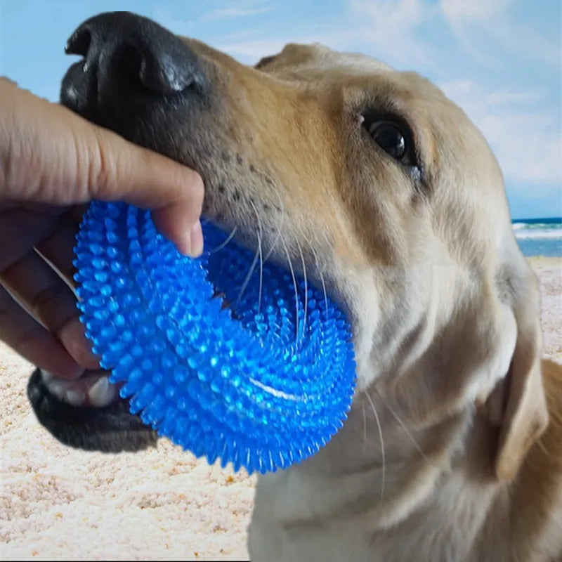 Durable circle chew toy for dogs