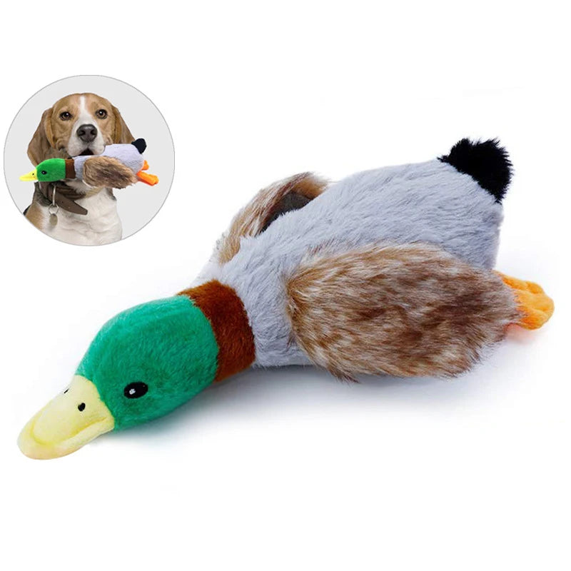 Squeaky plush duck dog toy