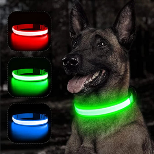 LED dog collar