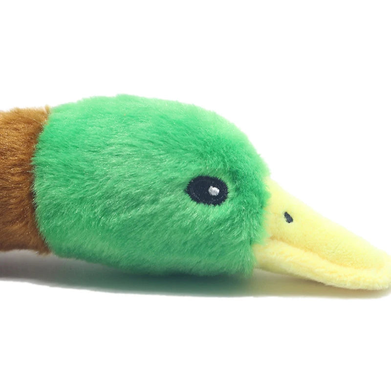 Squeaky plush duck dog toy