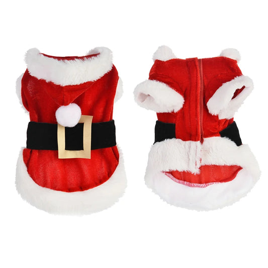 Santa costume for dogs