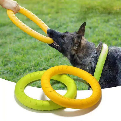 Flying disk ring toy