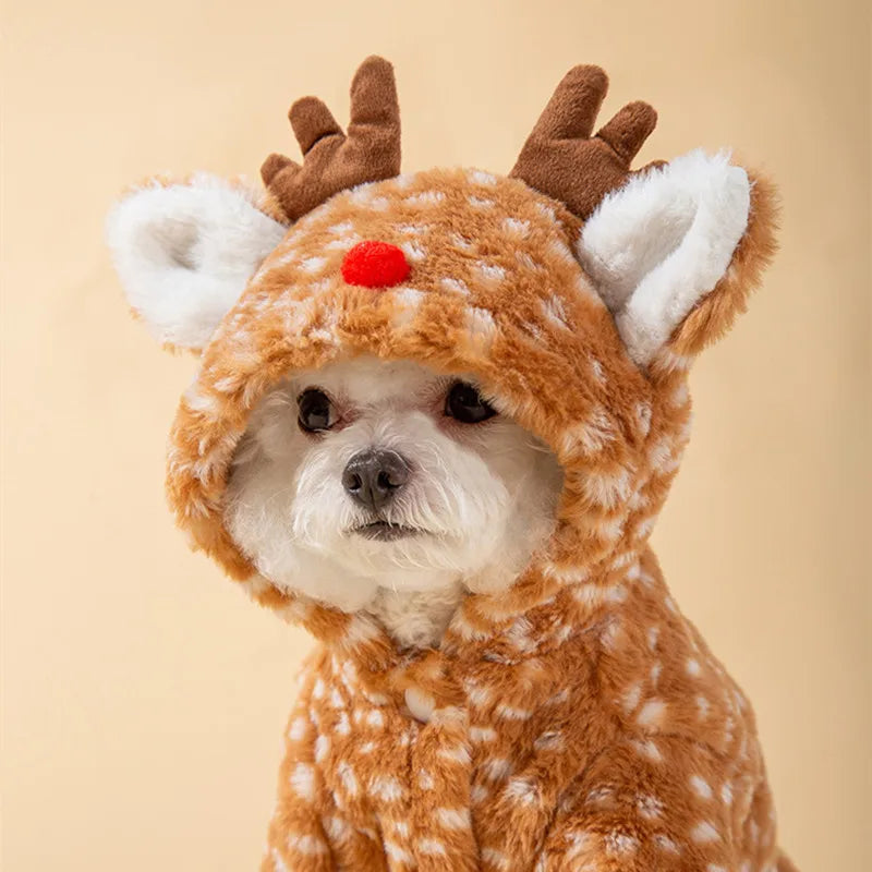 Reindeer dog costume