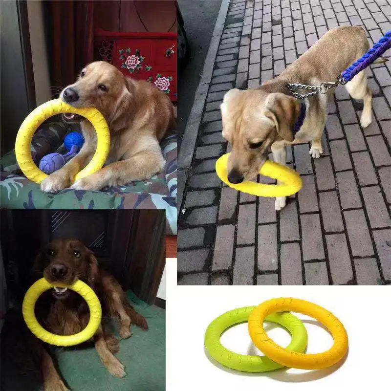 Flying disk ring toy