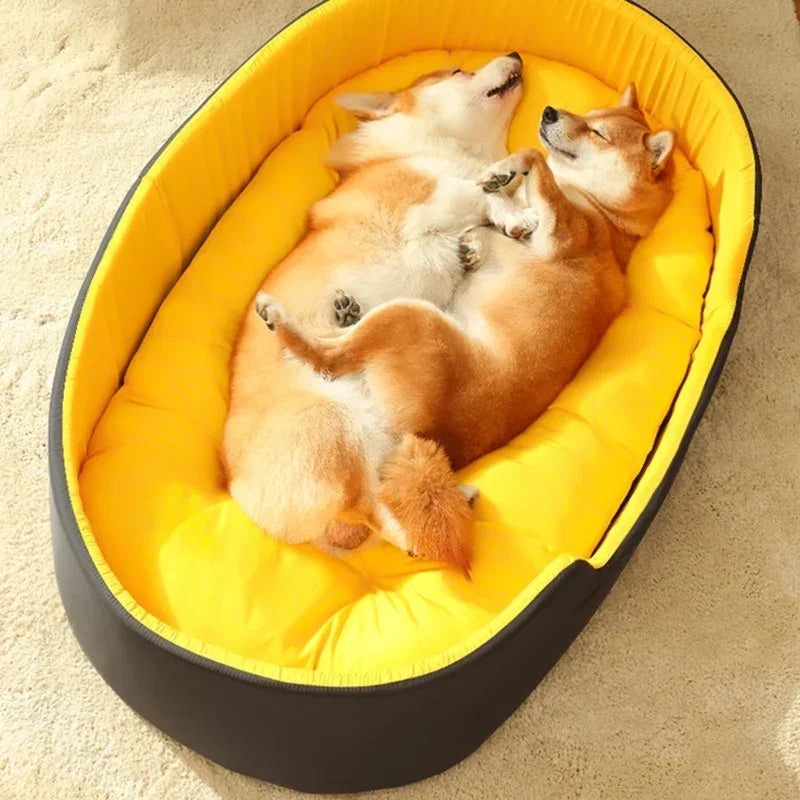 Sofa padded dog bed