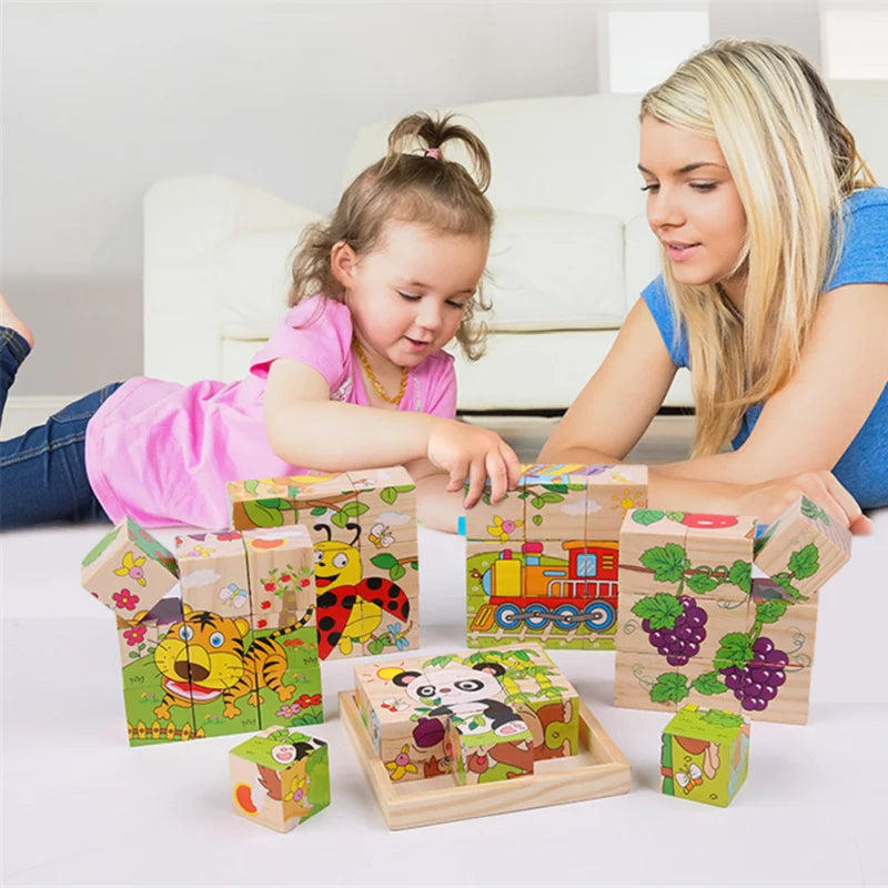 Wooden Blocks Toy Six Side Cube