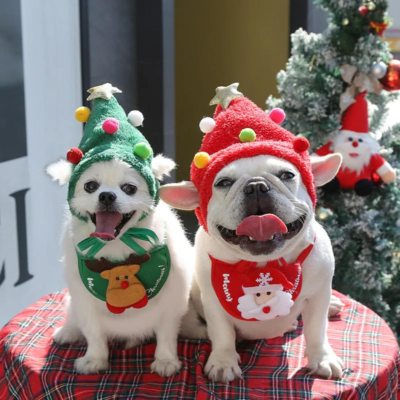 Christmas hat and scarf bag for dogs