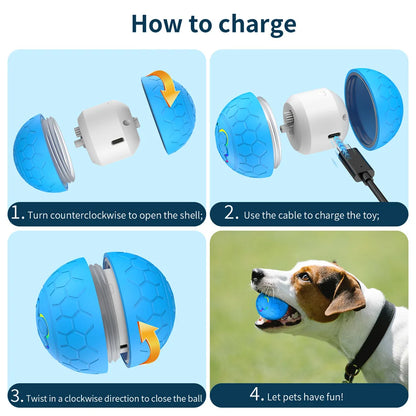 Smart self moving dog ball