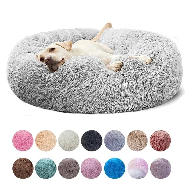 Bean bag bed for dogs